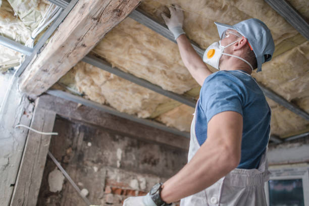 Best Insulation Maintenance and Repair in Shell Valley, ND